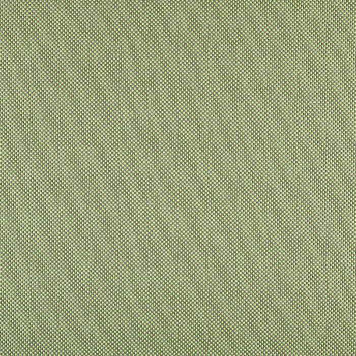 3665 PANAMA GRASS