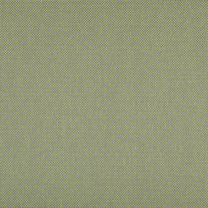 3666 PANAMA GREEN