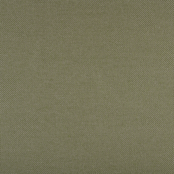 3667 PANAMA ALGA