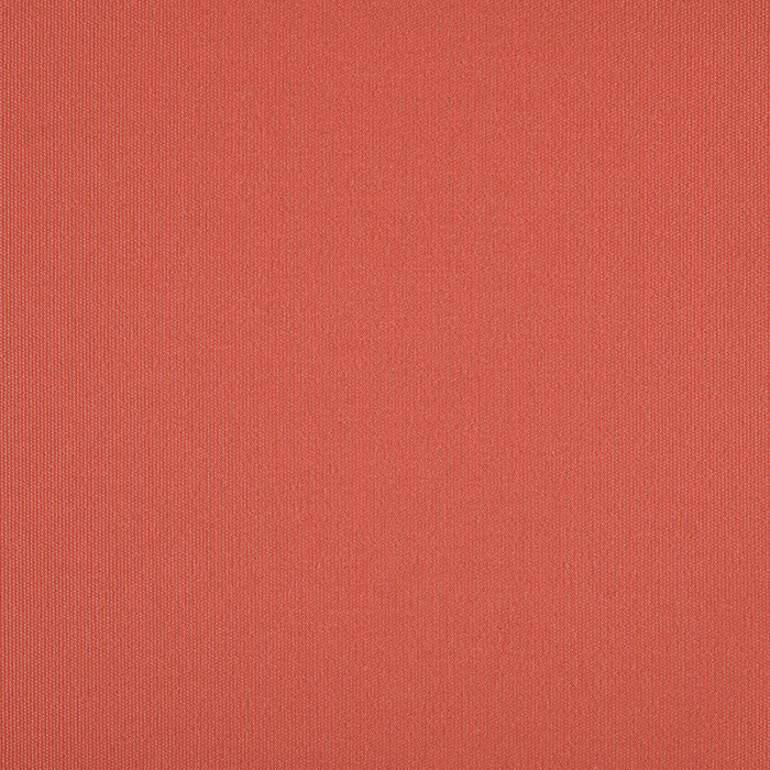 3716 LISO TOMATO